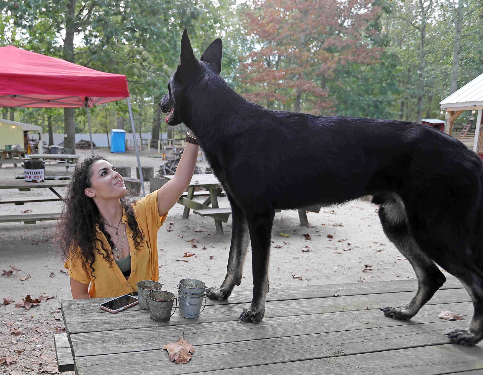 Funny Farm Rescue & Sanctuary